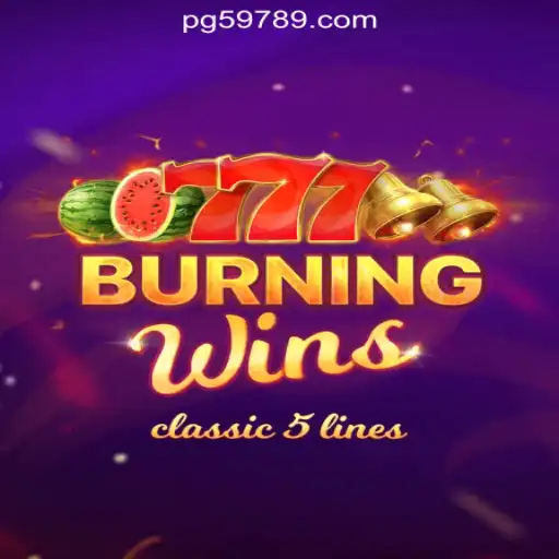 Exploring the Features of BurningWins and Online Casino Trends in Brazil