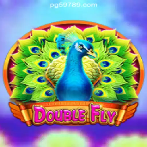 Explore the Thrills of DoubleFly: Brasil's Leading Online Cassino Adventure